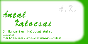 antal kalocsai business card
